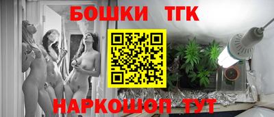 хмурый Кингисепп