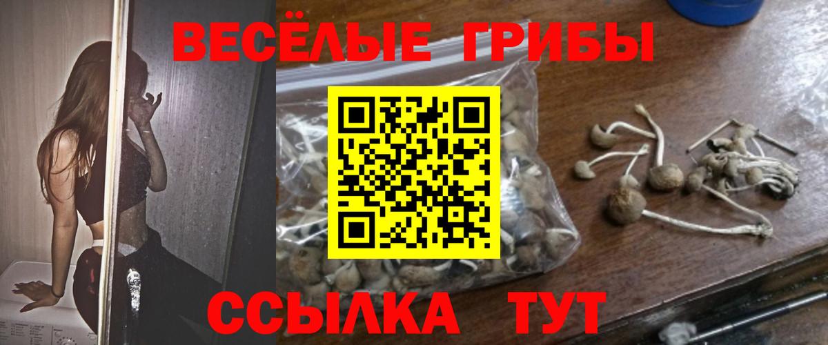 Кисловодск  Галлюциногенные грибы мухоморы  Вход с VPN 