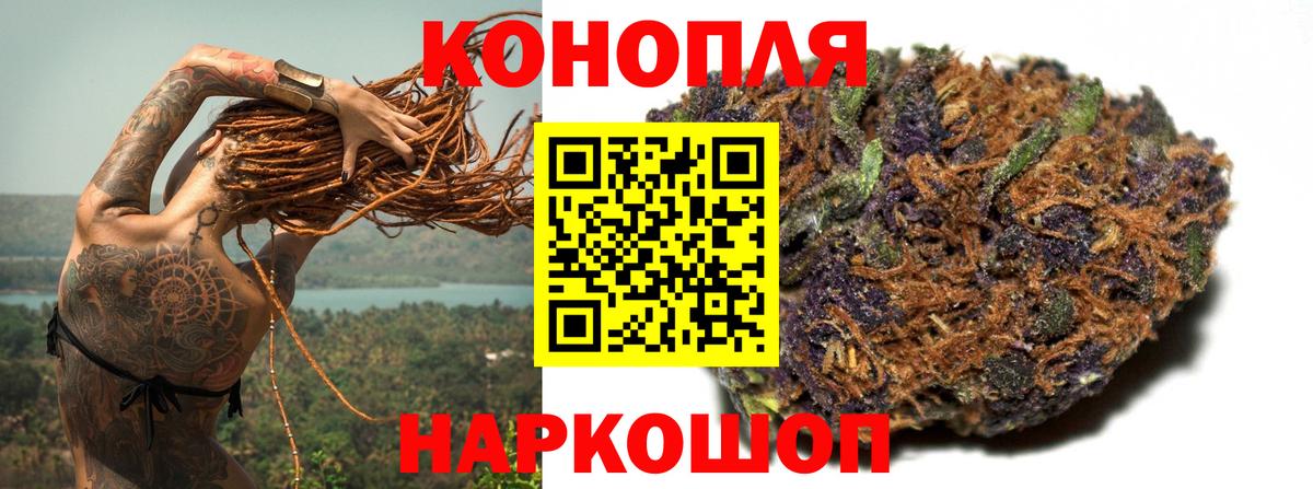 Каннабис OG Kush  Каннабис планчик  Кисловодск  Вход с VPN 